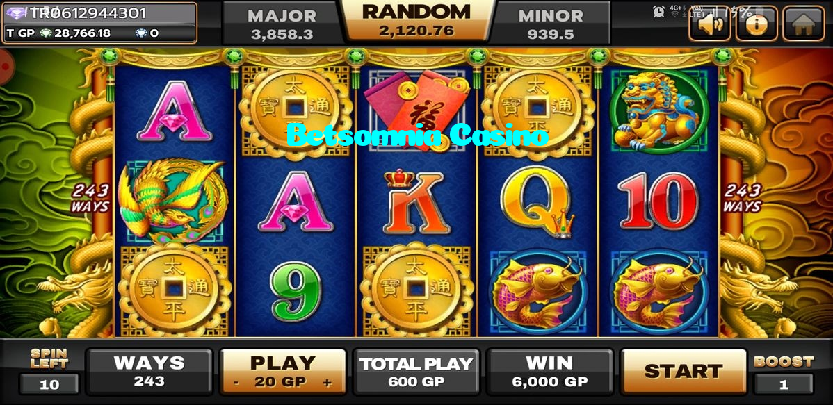 available types of Betsomnia Casino bet including pre-match live express and system bets